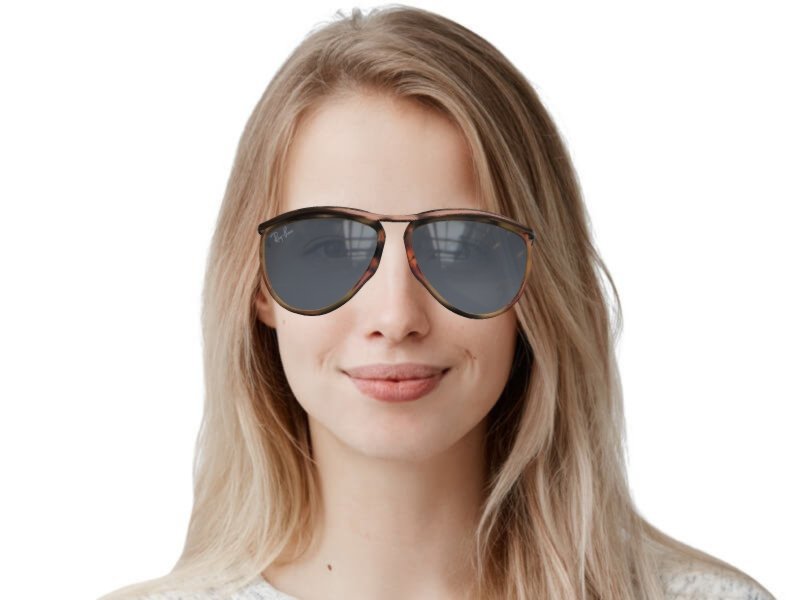 Ray sales ban rb2219